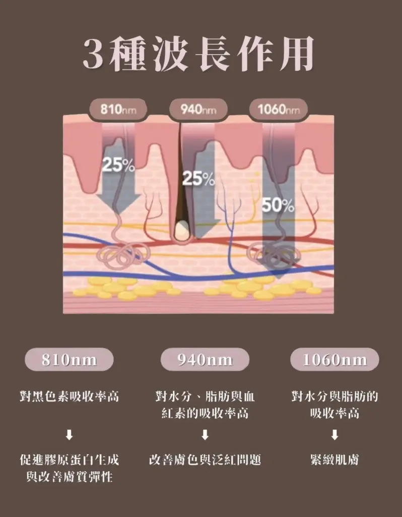 WhatsApp Image 2026-01-31 at 11.43.04.webp